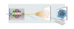 Prinzip der Röntgenkristallographie: Ein Elektronenstrahl (blau) erzeugt in der magnetischen Slalombahn eines sogenannten Undulators (links) einen Röntgenblitz (orange). Trifft dieser Blitz auf einen Proteinkristall, entsteht ein charakteristisches Beugungsbild auf dem Detektor, aus dem sich die räumliche Struktur des betreffenden Proteins am Computer berechnen lässt. Bild: DESY, Cyprian Lothringer 