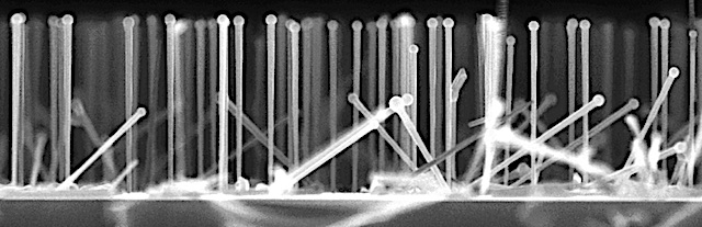 Nanodrähte unter dem Elektronenmikroskop