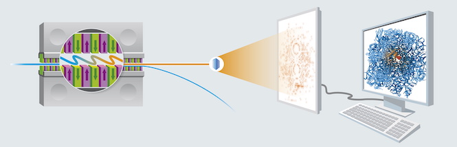 Aufklärung der Proteinstruktur mit Röntgenlicht / Structural analysis of biomolecules with X-ray radiation