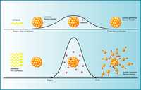 Clusterphysik