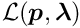 $\mathcal{L}(\Vek{p},\Vek{\lambda})$