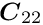 $\Vek{C}_{22}$