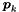 $\Vek{p}_k$